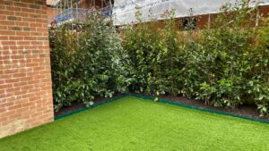 pet-friendly-artificial-grass-sussex.jpg