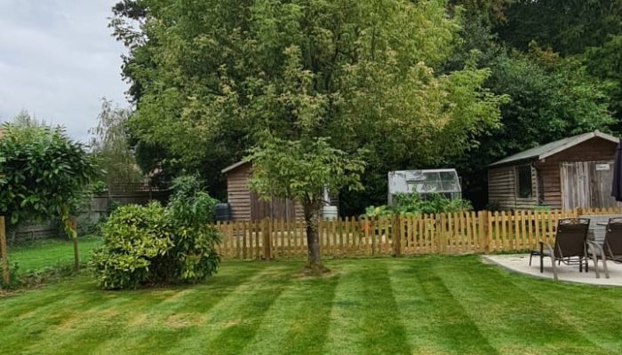 Arboriculture_2.jpg